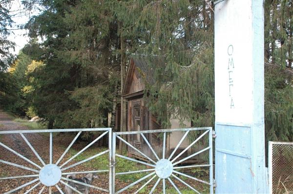 Детский оздоровительный лагерь «Омега»
