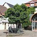Stadtmühle in Stadt Annweiler am Trifels