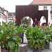 Rathausplatz in Stadt Annweiler am Trifels
