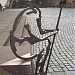 Rathausplatz in Stadt Annweiler am Trifels
