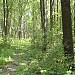 Городской парк в городе Люботин