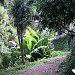 ბათუმის ბოტანიკური ბაღი in ბათუმი city