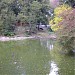 Мостик в городе Киев