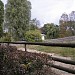 Страусы в городе Киев