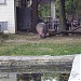 Бегемоты в городе Киев