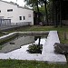 Бегемоты в городе Киев
