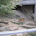 Остров животных в городе Киев