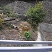Остров животных в городе Киев