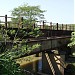 Pontes Ferroviárias sobre o Ribeirão Piraí na Salto city