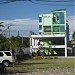 PUUR GREEN TING in Lapu-Lapu city