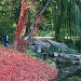 Водопад «Черепаха» в городе Белая Церковь