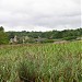 Remains of old Quarr Abbey