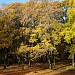 Sapiegų rūmų parkas yra Vilnius mieste