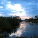 Пруд в городе Тайцы