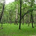 Парк отдыха «Вагоноремонт» в городе Москва