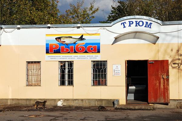 Рыболовные товары кингисепп Рыболовные товары кингисепп