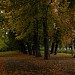 Park Steffensa (pl) in Gdańsk city