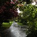 Park Akademicki (d. kompleks cmentarny) in Gdańsk city