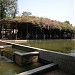 Kuntum (en) di kota Kota Bogor