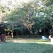 A picnic lawn in Tokyo city