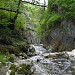 Bolii cave and Băniţa gorges