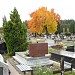 Cmentarz komunalny w Szczakowej in Jaworzno city
