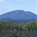 Mount St. Helena massif