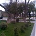 Сад Филармонии в городе Баку