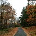 Vidrholec forest in Prague city