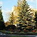 Детский сад № 16 в городе Кингисепп