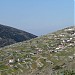 Agionori