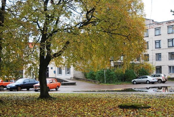 Врач аллерголог детский в волгограде