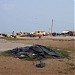 Fish market in Negombo city