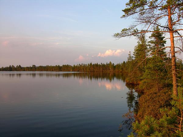 Рыбалка в Ленинградской области. Рыбные места Фотографии