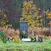 Памятник бойцам 266-го ОПАБ в городе Кингисепп