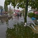 Przystań Delfin in Szczecin city