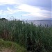 Biguglia Lagoon