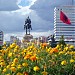 Flamuri Shqiptar in Tiranë city