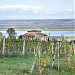 Dragasani