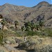 start trail murry canyon in Palm Springs, California city