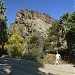 Andreas Canyon in Palm Springs, California city