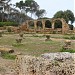 villas dans la ville de Tipaza Ville