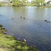Озеро Керосинка в городе Сердобск