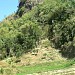 Mogana (id) in Sumedang city