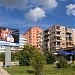 Lulishte in Korçë city