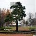 Сквер в городе Кингисепп