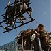 “Freedom Horses” in Rustavi city