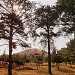 Kangso Great Tomb in Nampo city