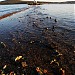 Затапливаемый участок Токаревской кошки в городе Владивосток