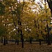 Park Młynówka Królewska in Kraków city